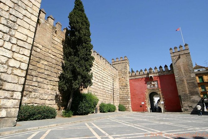 Seville Tour with Alcazar, Cathedral and Giralda from Granada - Who Should Book This Seville Tour?
