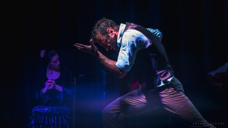 Seville: Traditional Flamenco Show in Triana - Timing, Pacing, and Crowd Levels