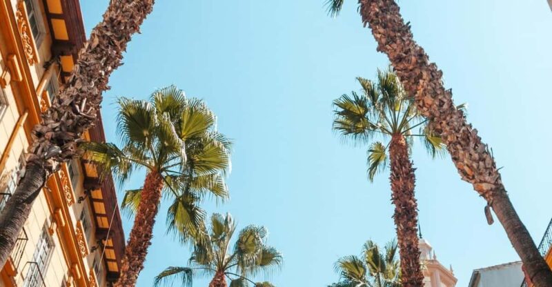 Seville: Transfer to Málaga with visit to Ronda - Discover the Scenic Journey from Seville to Málaga with a Stop in Ronda