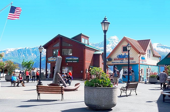 Seward Alaska City Tour and Glacier Viewing - The Experience of a Local Guide