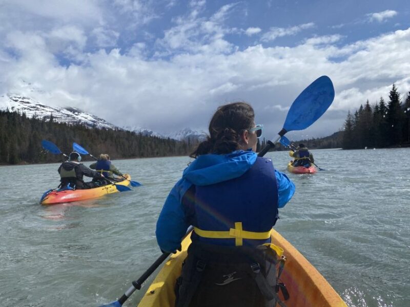 Seward Area Glacial Lake Kayaking Tour 1.5 hr from Anchorage - Physical Requirements and Accessibility