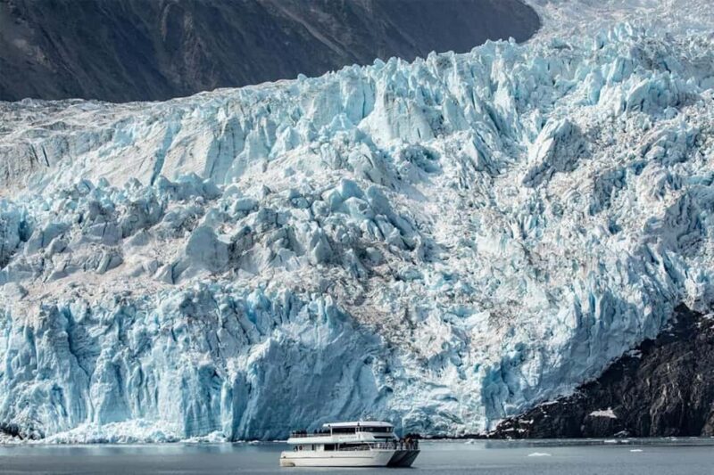Seward: Captain's Choice Kenai Fjords National Park Tour - Wildlife Sightings: Whales, Puffins, and Sea Lions
