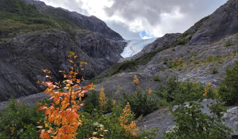 Seward: Exit Glacier Nature Hike with Scenic Views - Key Points