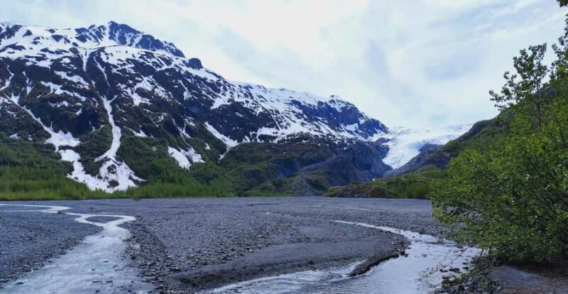 Seward: Exit Glacier Nature Hike with Scenic Views - Features of the Glaciated Forest Environment