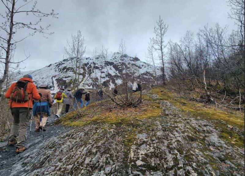 Seward: Guided Marmot Meadows Hike with Lunch - Explore the Stunning Marmot Meadows Hike in Seward