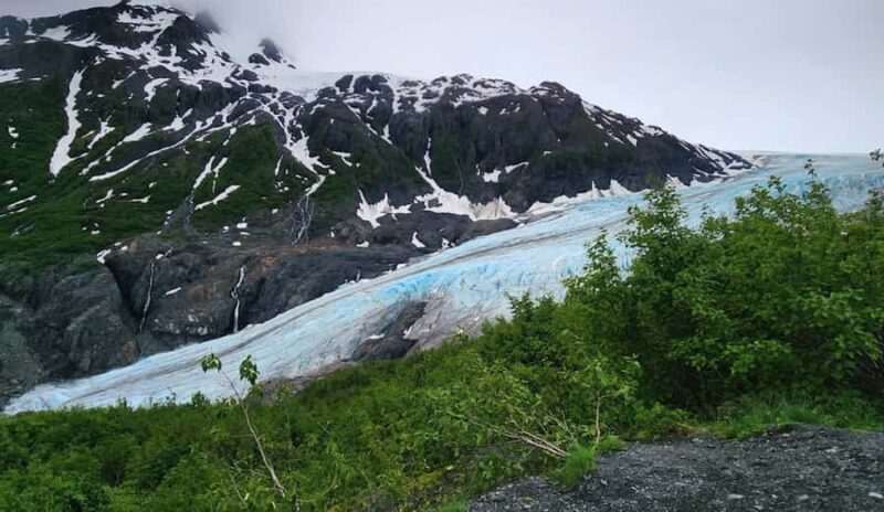 Seward: Guided Marmot Meadows Hike with Lunch - Key Points