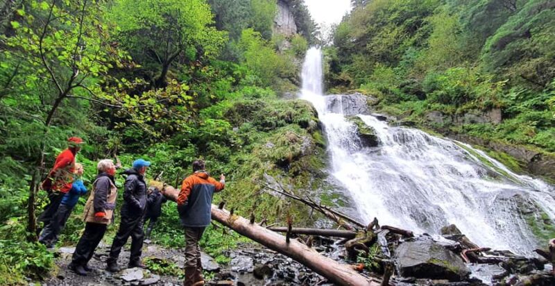 Seward: Kayak to Bridal Veil Falls with Lunch - Starting Point at Lowell Point Beach in Seward