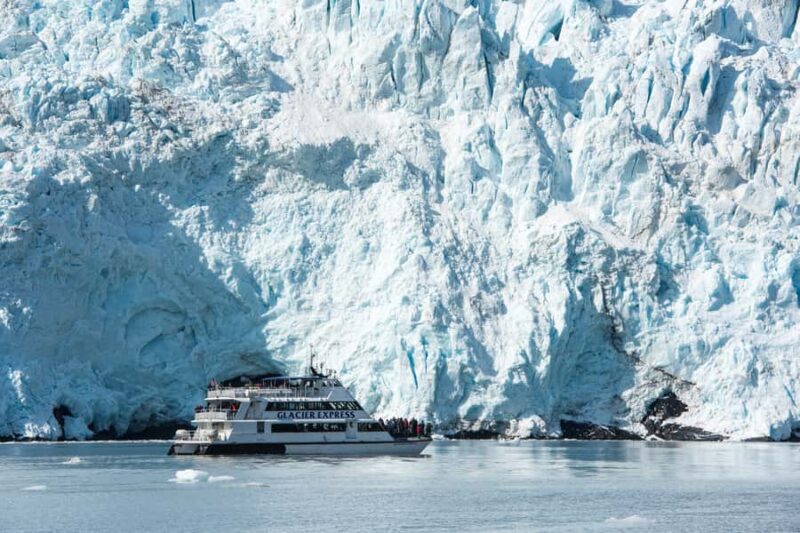 Seward: Kenai Fjords National Park Extended Glacier Cruise - Starting Point and Arrival Details in Seward