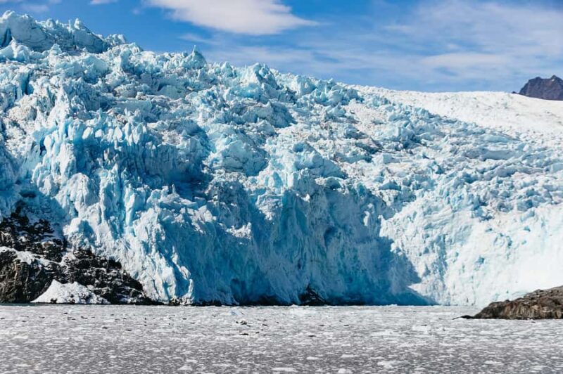 Seward: Kenai Fjords National Park Glacier Cruise w/ Lunch - Discover the Wilds of Kenai Fjords on a 6-Hour Glacier and Wildlife Cruise