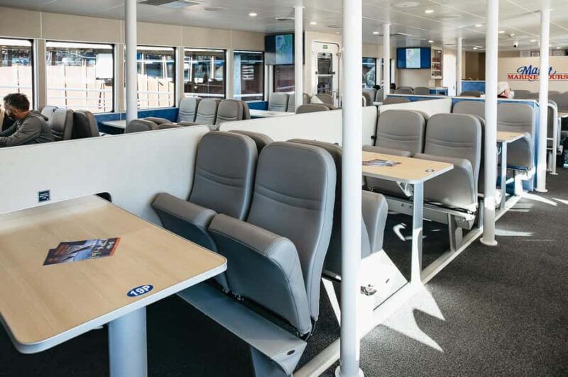 Seward: Kenai Fjords National Park Glacier Cruise w/ Lunch - Practical Tips for the Trip