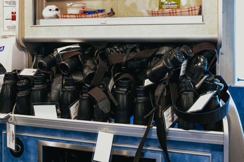 Seward: Kenai Fjords National Park Glacier Cruise w/ Lunch - Meeting Point and Parking Details