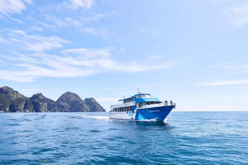 Seward: Resurrection Bay Half-Day Sightseeing Cruise - Onboard Experience: Food, Comfort, and Accessibility