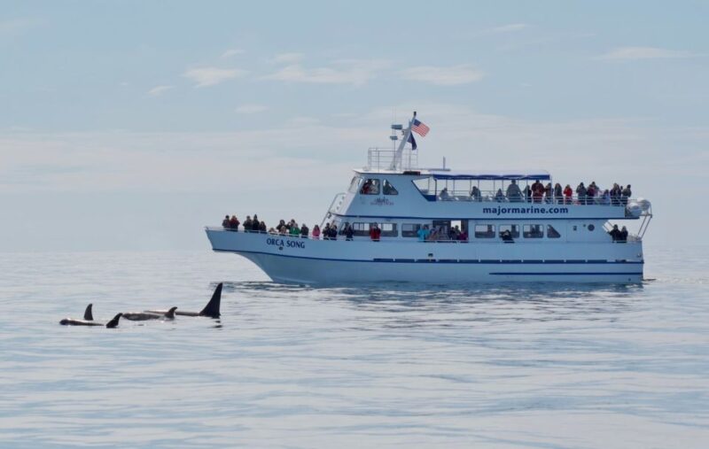 Seward: Resurrection Bay Orca Quest Cruise - Explore Seward’s Marine Life on a 4-Hour Orca Quest Boat Cruise