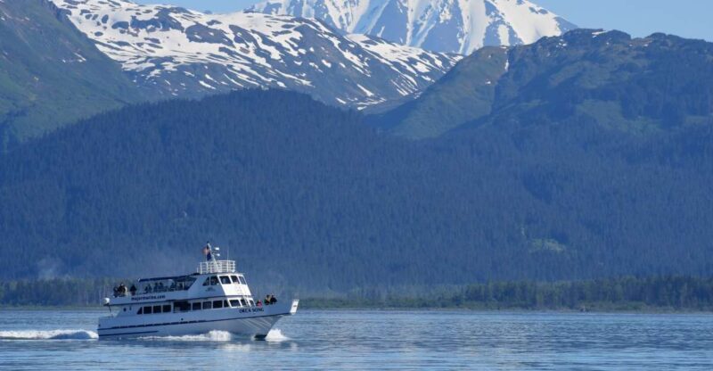 Seward: Resurrection Bay Orca Quest Cruise - The Chance to See Both Kinds of Orcas and Other Marine Creatures