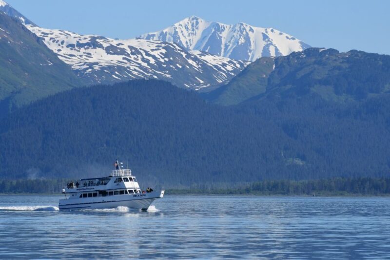 Seward: Resurrection Bay Orca Quest Cruise - The Wildlife and Marine Environment Explored
