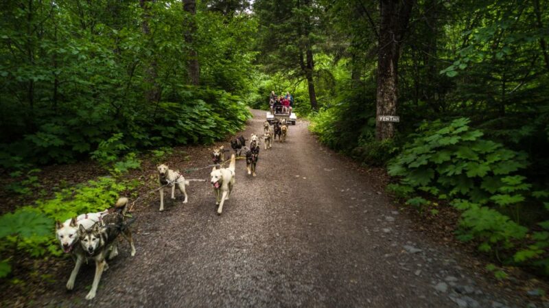 Seward: Summer Dog Sled Ride and Seavey Estate Tour - Key Points