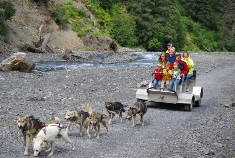 Seward: Summer Dog Sled Ride and Seavey Estate Tour - Meeting and Interacting with Huskies and Puppies