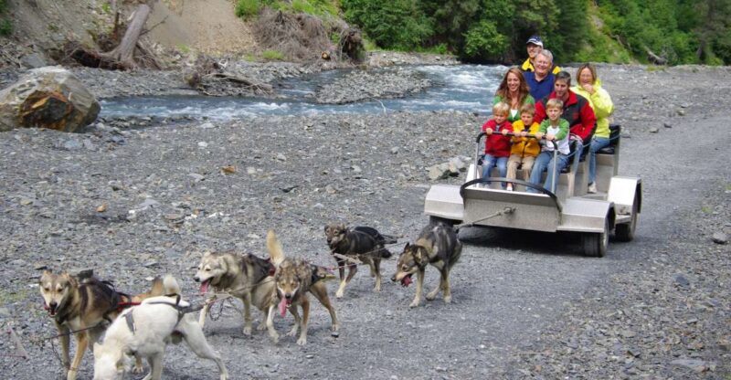 Seward: Summer Dog Sled Ride and Seavey Estate Tour - Practical Details: Logistics and Accessibility