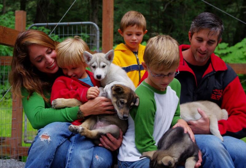 Seward: Summer Dog Sled Ride and Seavey Estate Tour - Who Will Enjoy This Tour the Most