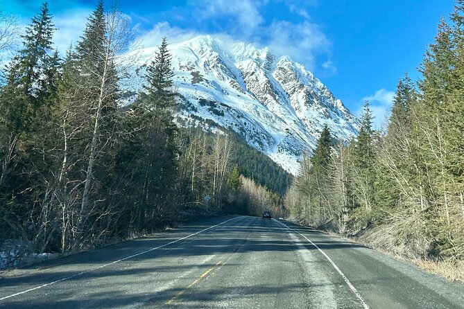 Seward to Anchorage Full Day Transit Tour with Port Pickup - Comfortable Transportation and Group Size