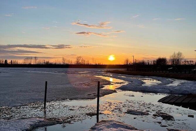 Seward to Anchorage- Post Cruise Curated Wildlife Tour +Transfer - Anchorage City Highlights and Drop-Off