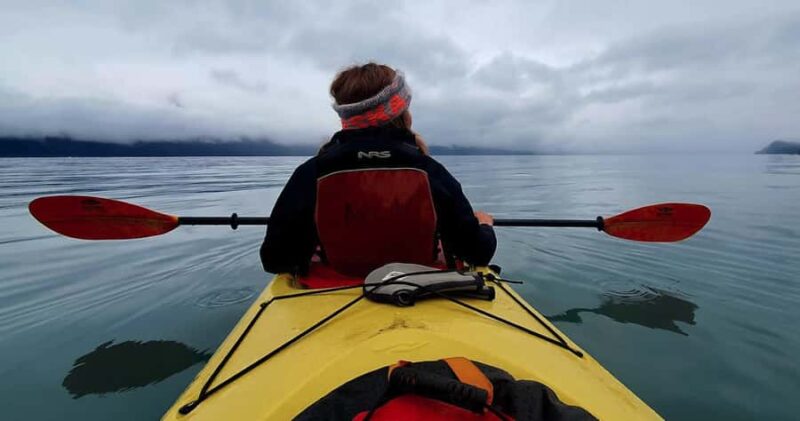 Seward: Tonsina Point Kayak & Exit Glacier Nature Hike - Meeting and Starting Points for Your Alaska Adventure