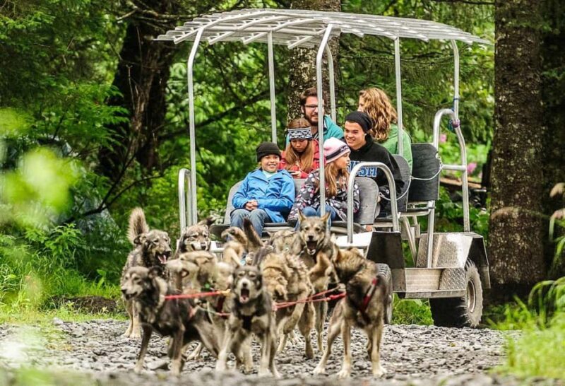 Seward: Turning Heads Kennel Tour & Dog Sled Ride - The 1.5-Mile Sled Dog Ride in the Wilderness