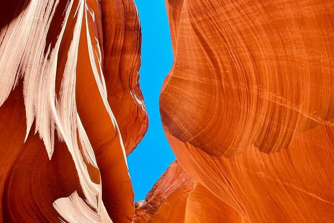 SF to Yellowstone,Grand Teton,Antelope Canyon&Vegas 7-Day Tour - Discover the Ultimate 7-Day San Francisco to Yellowstone and Southwest Adventure