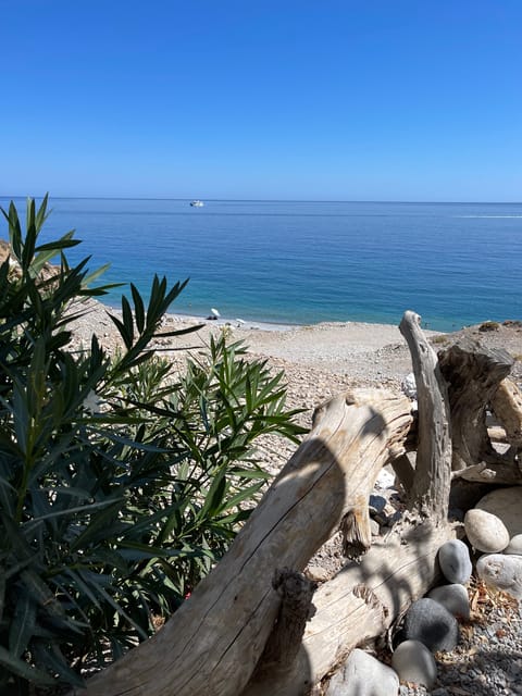 Sfakia Private Escape: Imbros Gorge, History & Hidden Beach - Who Will Love This Tour?