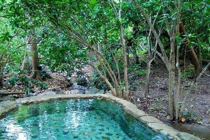Shaded Hot Spring, Massage and Mex Grill in Puerto Vallarta - Visiting Nuevo Ixtlan Hot Springs