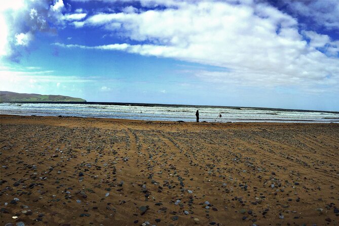 Shannon Airport Private Transfer: Killarney to Shannon Airport - Notable Positive Review Highlight