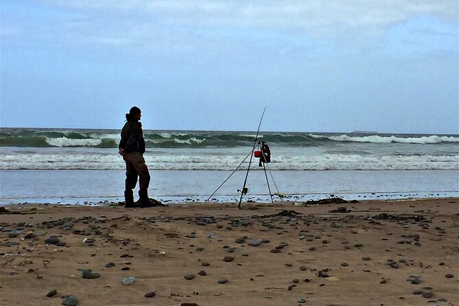 Shannon Airport Private Transfer: Shannon Airport to Killarney - What Sets This Private Transfer Apart in Ireland