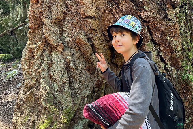 Shannon fall, Quercus Point and Squamish city Private tour - Practical Details and Booking