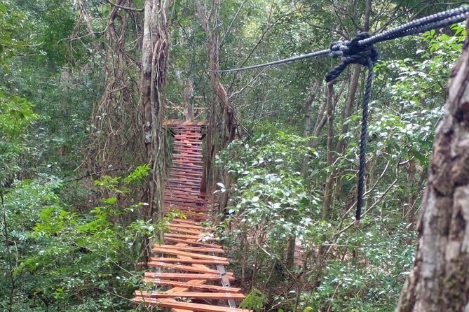 Shared ATV's and Zip Lines and Swimming in a Real Cenote. - What’s Included and What’s Not