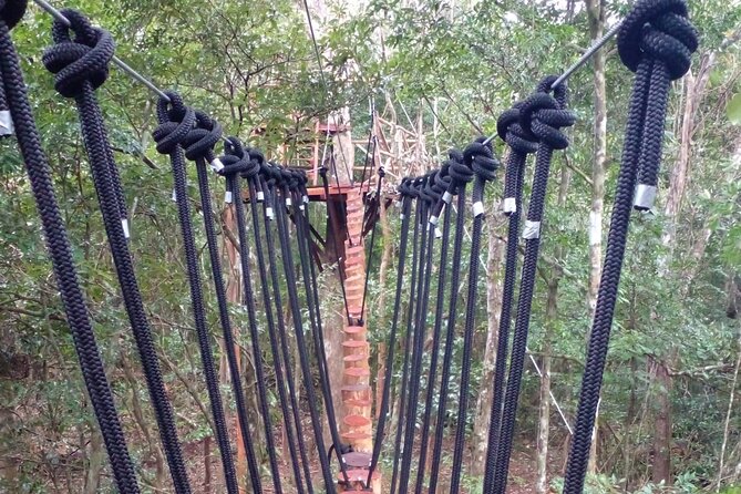 Shared ATV's and Zip Lines and Swimming in a Real Cenote. - Safety and Cancellation Policies