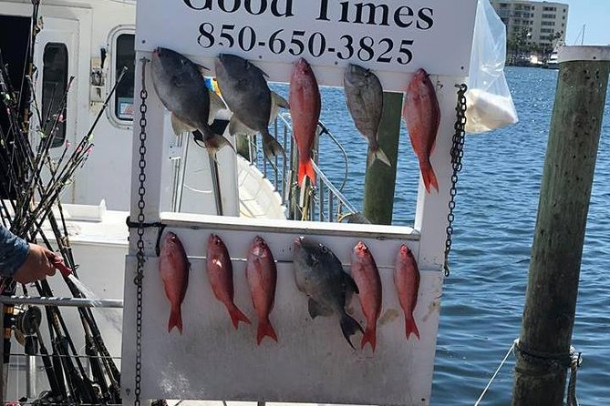 Shared Deep Sea Fishing Trip from Destin - What Do Past Reviewers Say?