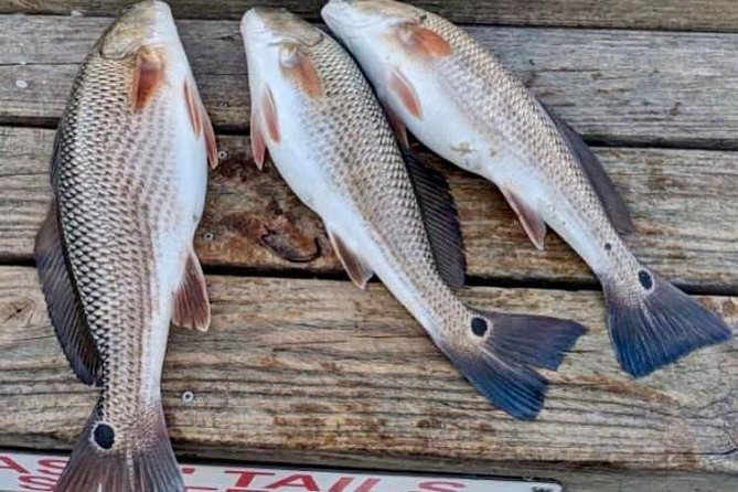 Shared Deep Sea Fishing Trip from Destin - The Crew and Experience Quality