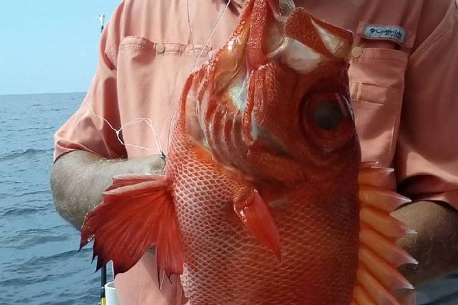 Shared Deep Sea Fishing Trip from Destin - Who Will Enjoy This Deep Sea Fishing Trip?