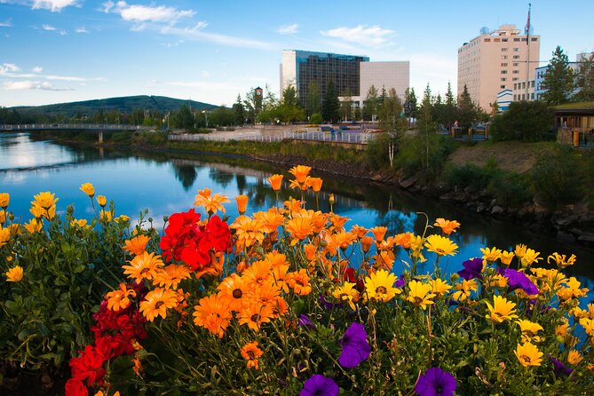 Shared Fairbanks to Denali National Park Entrance Transport - Scenic Landscape Views During the Transit