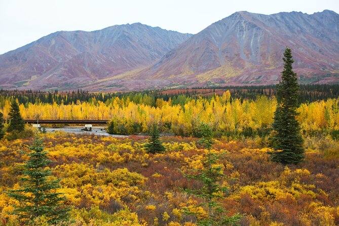 Shared Fairbanks to Denali National Park Entrance Transport - Accessibility and Additional Notes