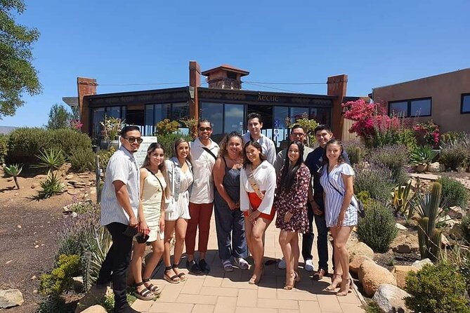 Shared Guadalupe Wine Valley Tour - Explore Baja California’s Wine Region for $109.99
