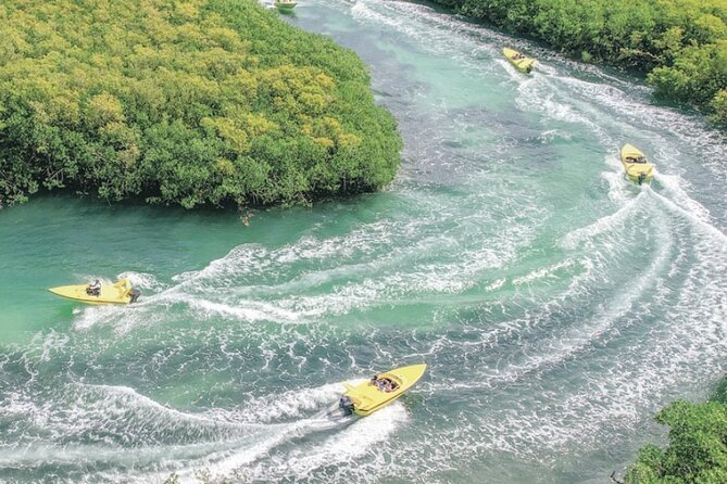 Shared Jungle Speed Boat Tour in Cancun - Navigating the Lush Nichupté Lagoon by Speedboat