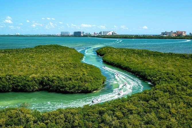 Shared Jungle Speed Boat Tour in Cancun - Snorkeling Among Colorful Coral Reefs