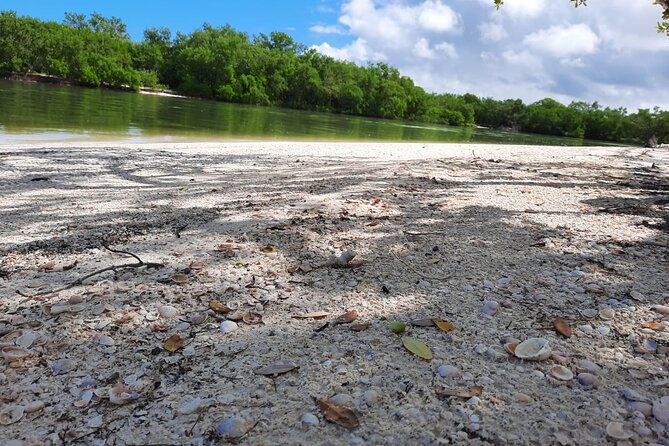 Shared mangroves kayak tour in Holbox - The Experience of Kayaking in Holbox’s Mangroves