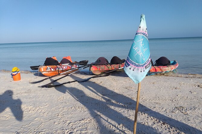 Shared mangroves kayak tour in Holbox - Guides and Customer Service
