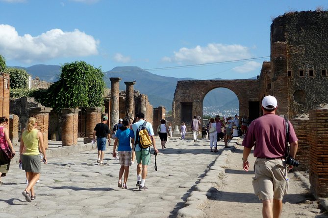 Shared Pompeii Tour from Naples  Guide & Tickets Included - Cancellation Policy and Booking