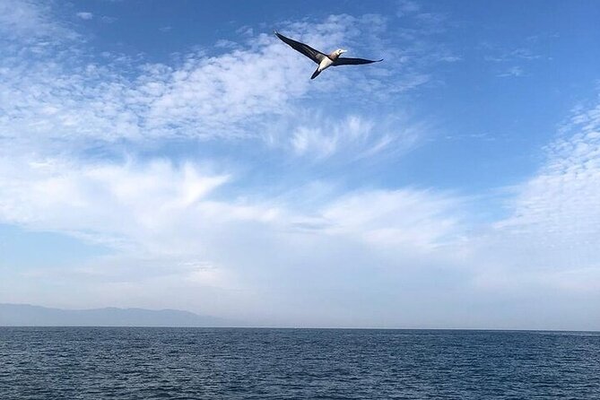 Shared Puerto Vallarta City Tour By The Sea aboard Bruna - Marveling at Los Arcos de Mismaloya