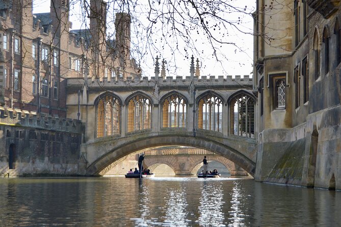 Shared Punt Tour - Cambridge - The Experience’s Pacing and Atmosphere
