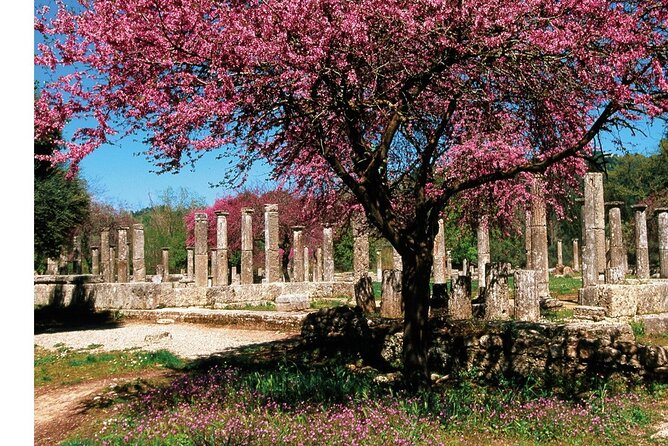 Shared Round Trip Transfer Service from Katakolon to Olympia - Who Should Choose This Transfer Service