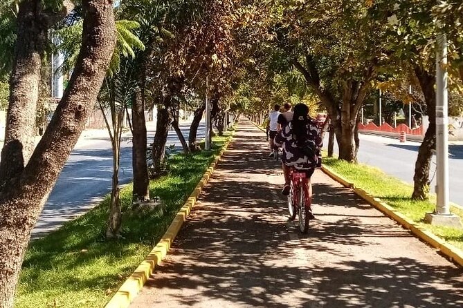 Shared Santa Maria Del Tule Bike Tour - Comparing to Other Oaxaca Tours